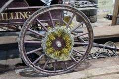 4 SEAT HORSE BUGGY