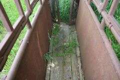 CATTLE SQUEEZE