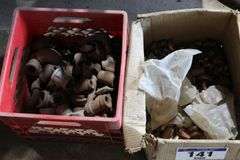 GROUP OF PIPE FITTINGS, BOLTS, SCREWS, NAILS ETC