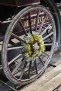 4 SEAT HORSE BUGGY