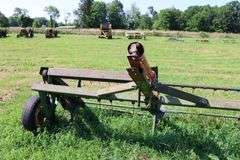 PEQUEA 910 HAY TEDDER