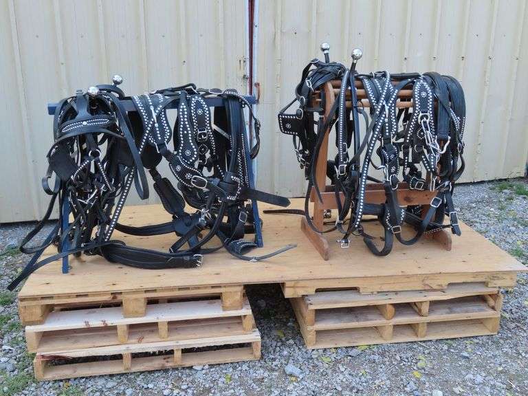 GROUP OF HEAVY HORSE SHOW HARNESS