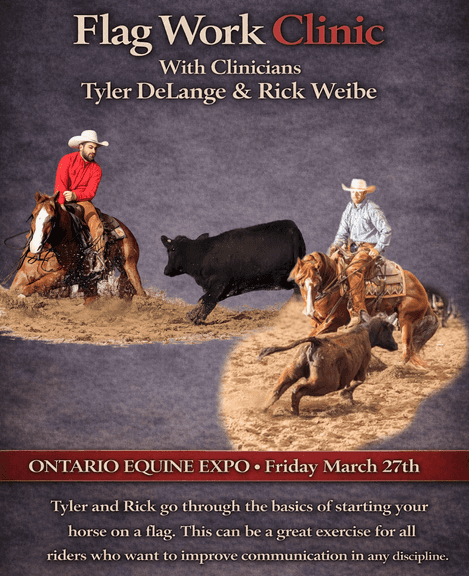 FLAG WORK CLINIC WITH TYLER DELANGE & RICK WEIBE - FRIDAY MARCH 27TH @ 3:30PM