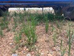 2012 76" x 20' T/A Gooseneck Trailer