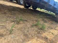 2009 82" X 20' T/A Gooseneck Trailer