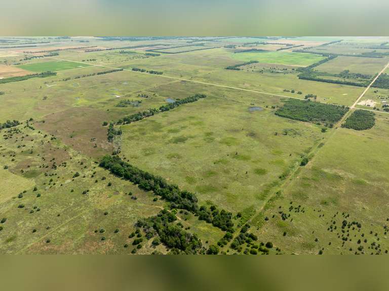 155± Acres in Plevna, Kansas