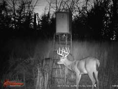 155± Acres in Plevna, Kansas