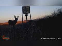 155± Acres in Plevna, Kansas