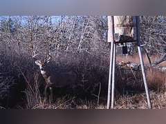 155± Acres of Hunting & Recreational Land