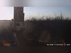 155± Acres in Plevna, Kansas
