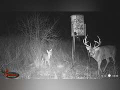 155± Acres in Plevna, Kansas