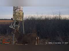 155± Acres in Plevna, Kansas