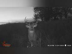 155± Acres in Plevna, Kansas