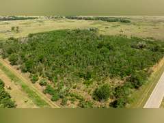 155± Acres in Plevna, Kansas