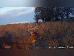 155± Acres in Plevna, Kansas