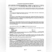 Thumbnail image of Auction REPA Draft_5723 S. Broadway.pdf