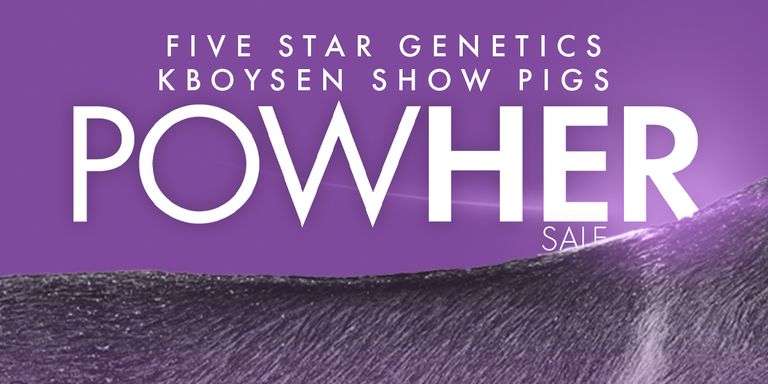 KBoysen Showpigs / Morningstar Five Star Genetics POWHER Sale