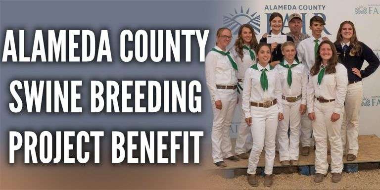 Alameda County Swine Breeding Project Benefit