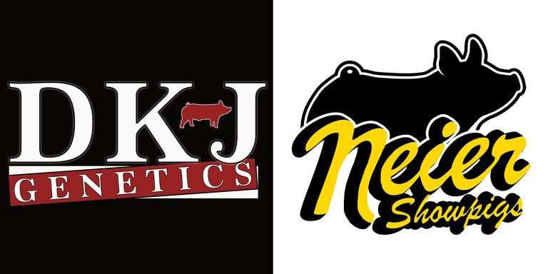 Neier Showpigs and DKJ Genetics Bred Female Sale