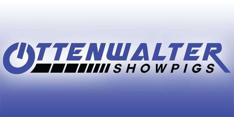 Ottenwalter Showpigs Bred Females 