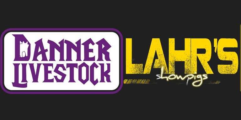 Danner Livestock and Lahr's Showpigs Bred Females