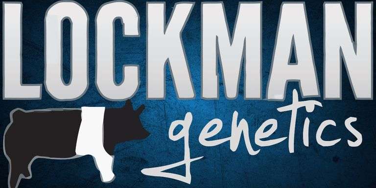 Lockman Genetics Bred Females 