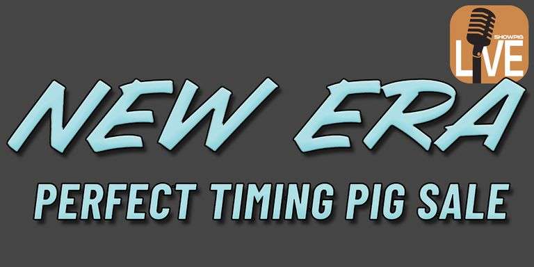 Perfect Timing Pig Sale (ShowpigLIVE)
