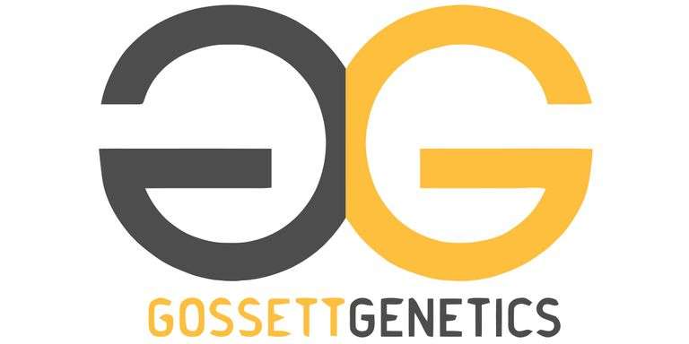 Gossett Genetics Farm Sale (ShowpigLIVE)