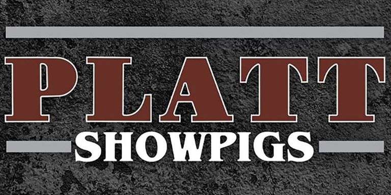 Platt Showpigs