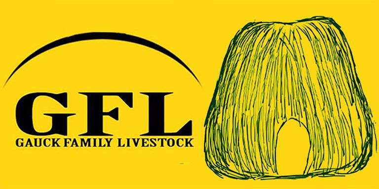 Gauck Family Livestock: Road to Houston Mego Moms