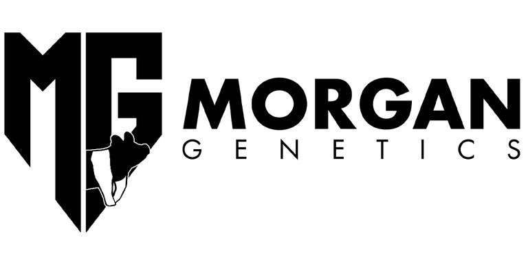Morgan Genetics Bred Females