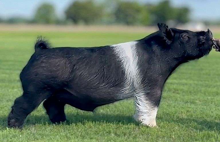 2 Straws Frozen Semen EVIDENCE