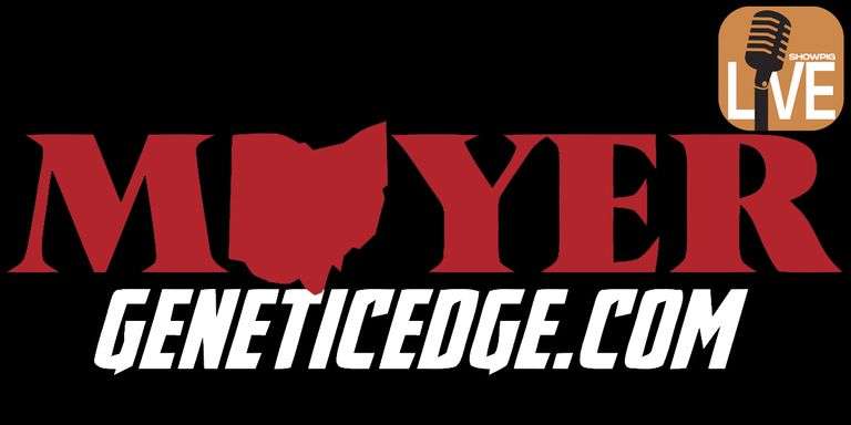 Moyer Showpigs LiveOnline™