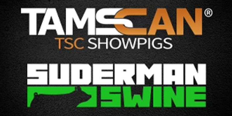 Tams Can - TSC Showpigs & Suderman Swine