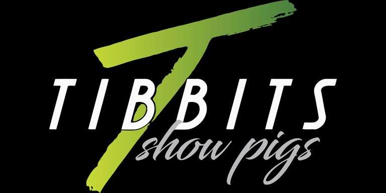 Tibbits Showpigs Bred Female Sale