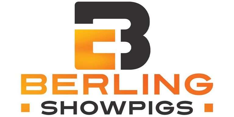 Berling Showpigs Bred Females 
