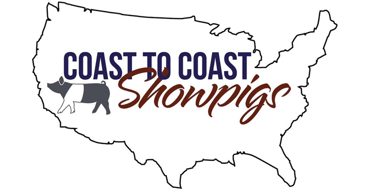 Coast to Coast Showpigs