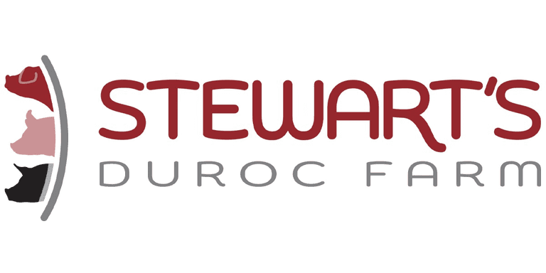 Stewart's Duroc Farm Bred Female