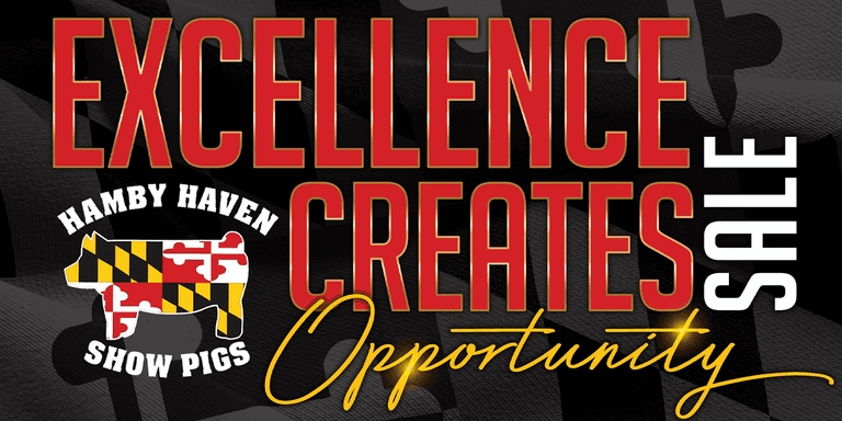 Hamby Haven Showpigs - Excellence Creates Opportunity Sale