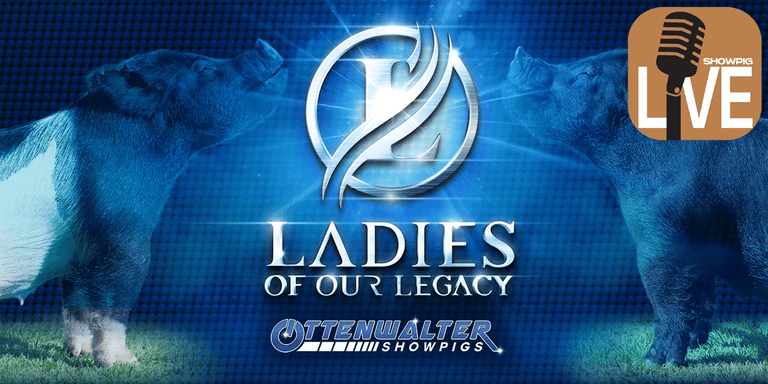 Ottenwalter Showpigs "Ladies of our Legacy" Bred Female Sale (ShowpigLIVE)