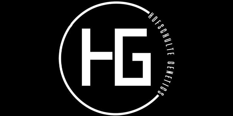 Hofschulte Genetics Bred Female