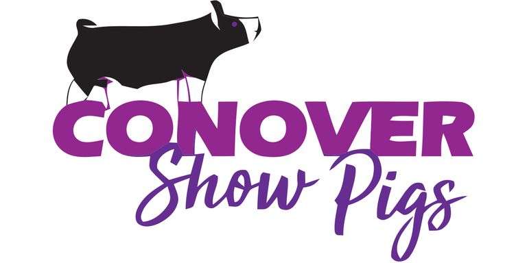 Conover Showpigs Bred Female