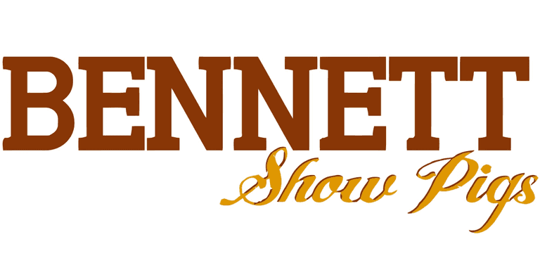 Bennett Showpigs