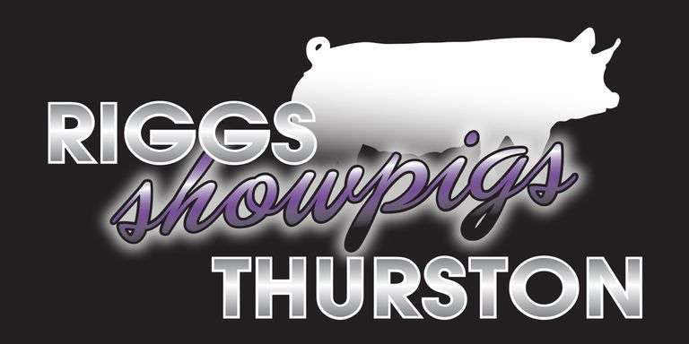 Riggs-Thurston Showpigs Bred Gilt Sale