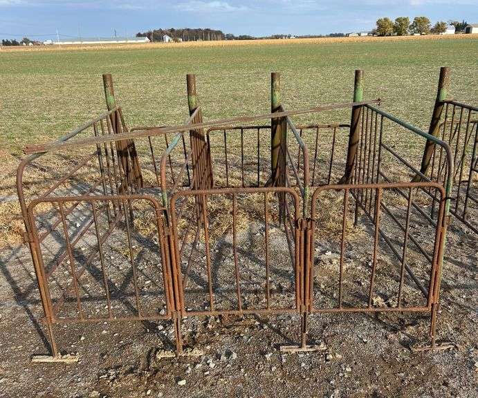 (3) Steel Gestation Stalls w/Sides & Fronts