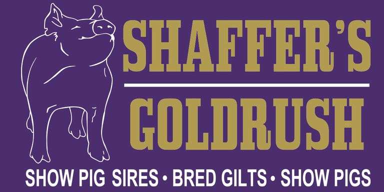 Shaffer's Goldrush