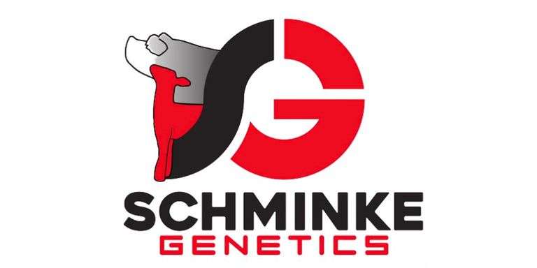 Schminke Genetics Bred Female Sale