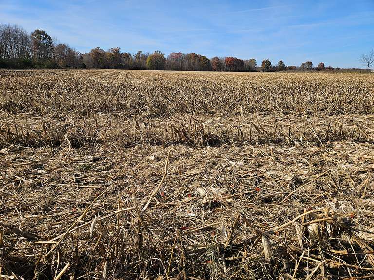 20 ACRES FARM & RECREATIONAL LAND WITH BARN AUCTION
