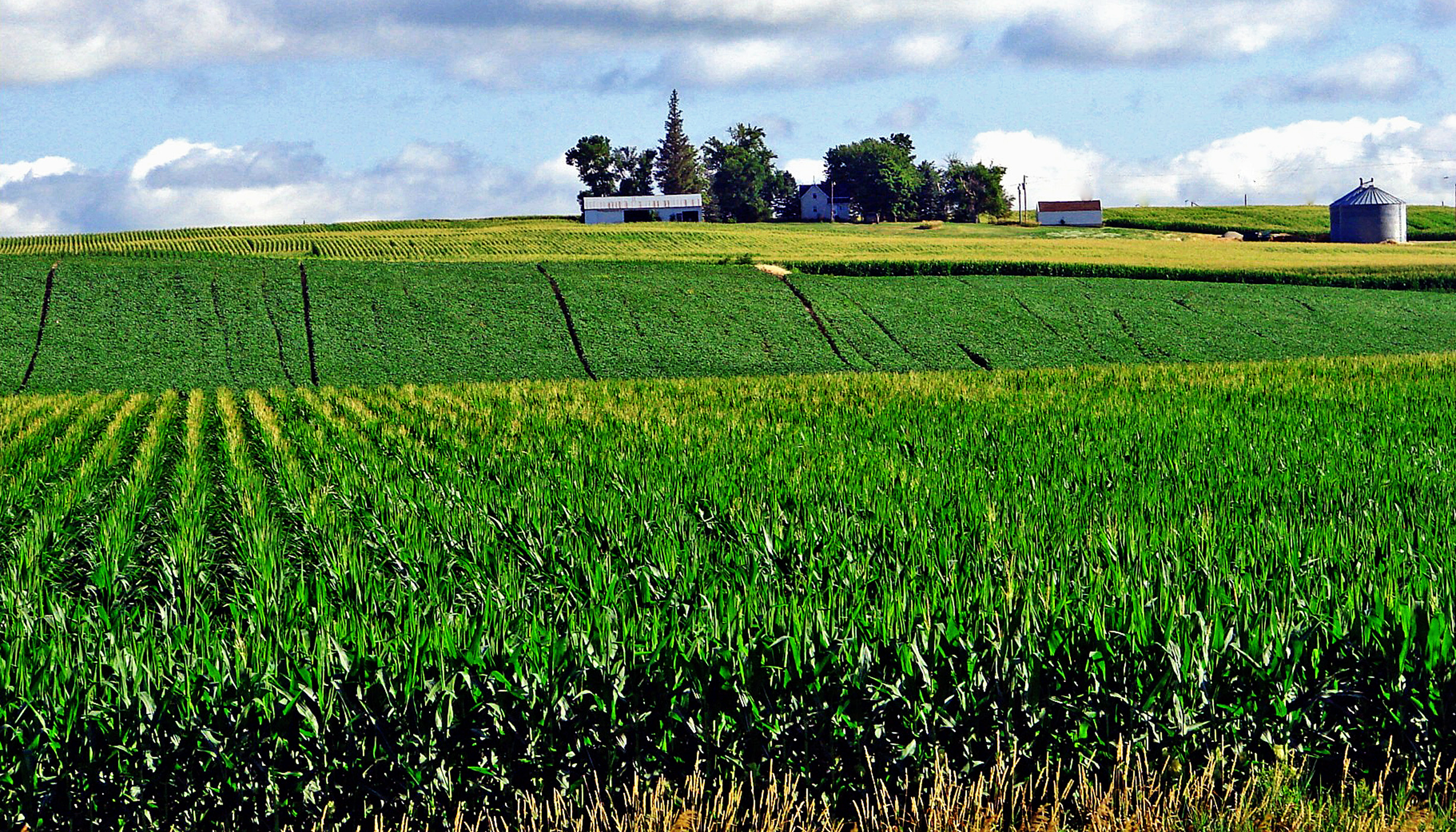 How Commodity Prices Affect Farmland Values