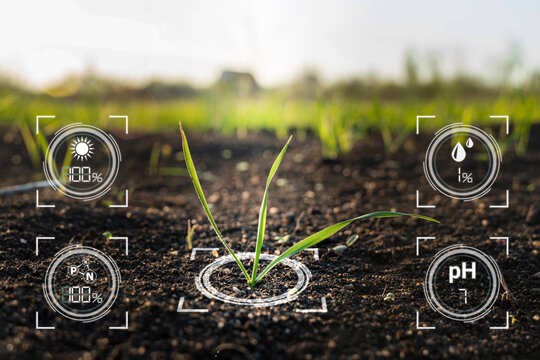 How AI is Transforming the Farming Industry